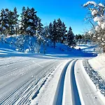 Gardshus Med Unik Atmosfaere Sentralt I Sirdal * Tjorhom