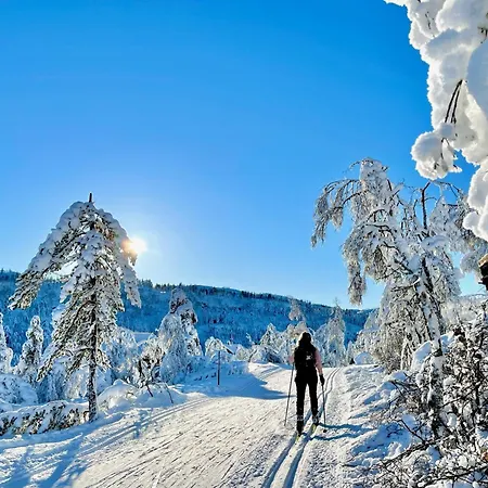 Gardshus Med Unik Atmosfaere Sentralt I Sirdal Дом отдыха *