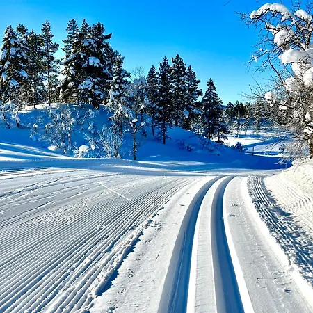 Gardshus Med Unik Atmosfaere Sentralt I Sirdal * Tjorhom