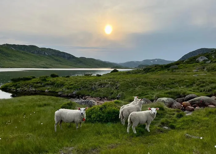 Tatil Evi Gardshus Med Unik Atmosfaere Sentralt I Sirdal Tjorhom