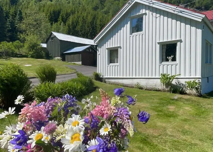 Tatil Evi Gardshus Med Unik Atmosfaere Sentralt I Sirdal