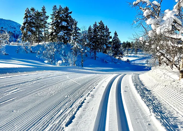 Gardshus Med Unik Atmosfaere Sentralt I Sirdal * Tjorhom